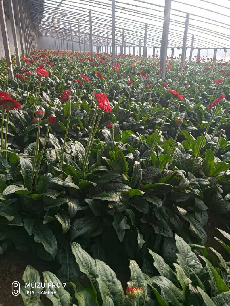 1553073341122554.png 圖片6.png