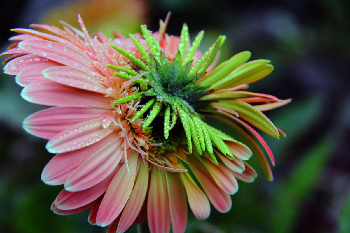 1553073800330053.png 1-3.png