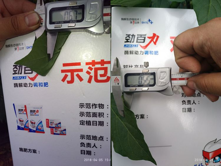 1553134129753916.png 1553134129753916.png