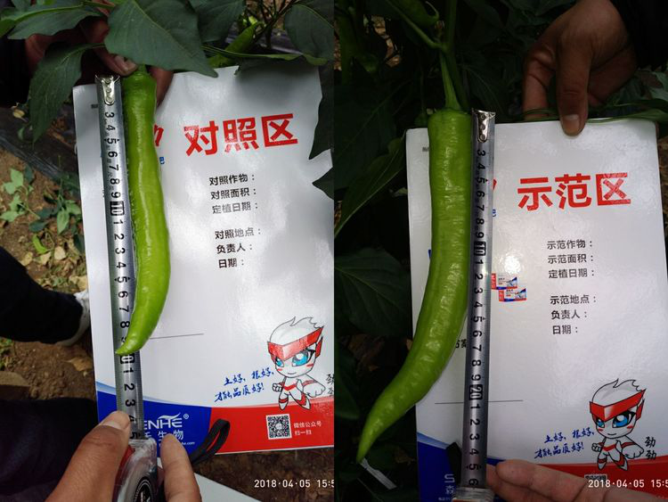 1553134193350364.png 1553134193350364.png