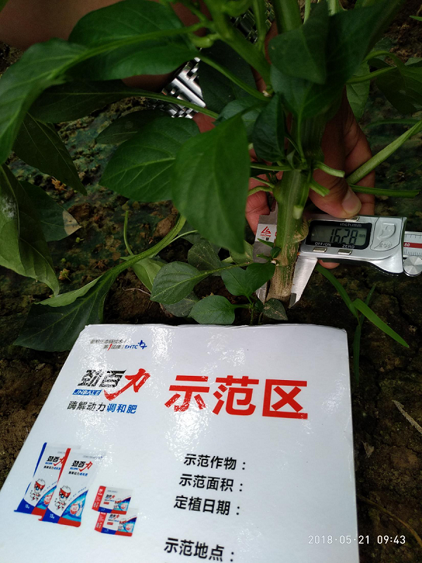 1554173738309355.png 1554173738309355.png