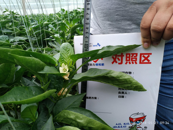 1554173870136333.png 太4.png