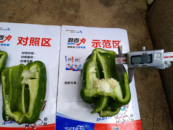 1554173981689799.png 1554173981689799.png