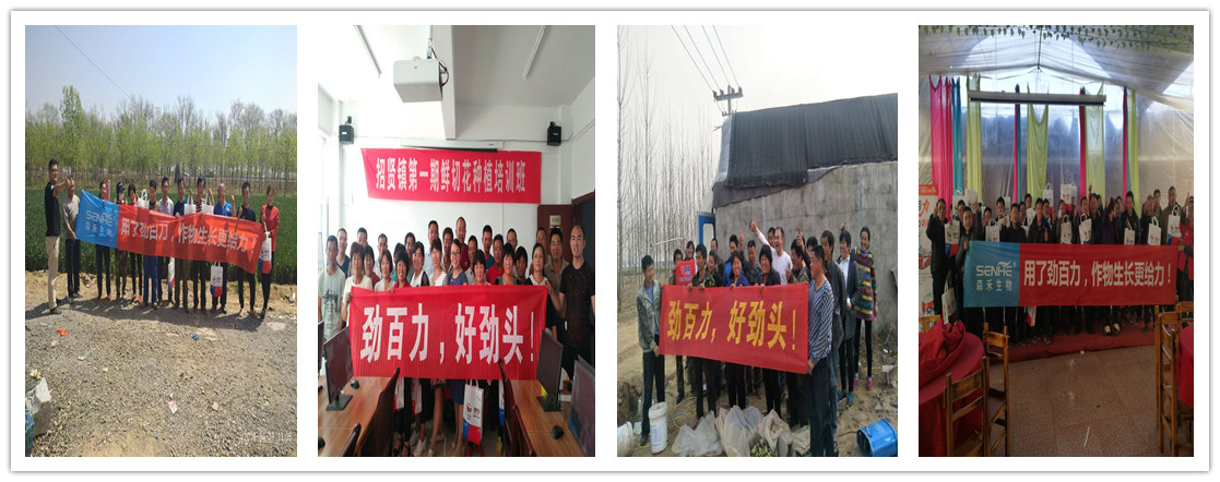 1559200383596592.jpg 條幅1_副本.jpg