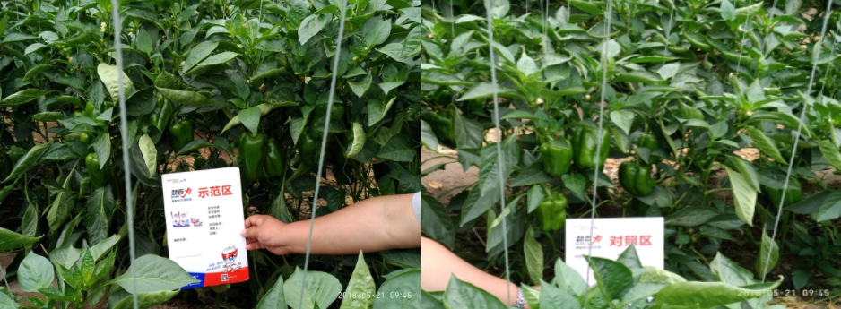 1562051014117042.png 企業微信截圖_15620508387722.png