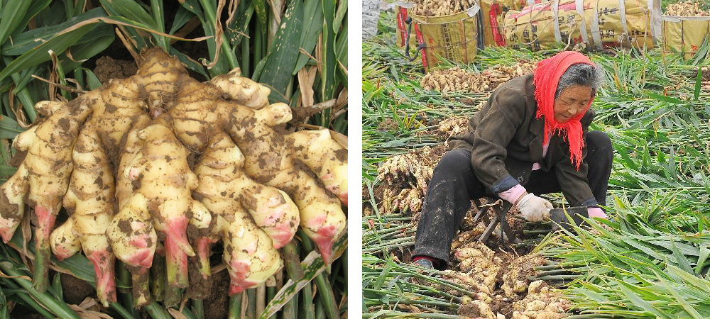 1562051591708561.jpg 2.jpg